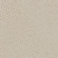 White Shagreen