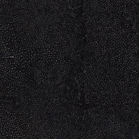 Black Knight Shagreen