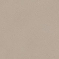 Paloma Grey Buffalo