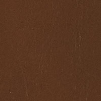 Chocolate Buffalo