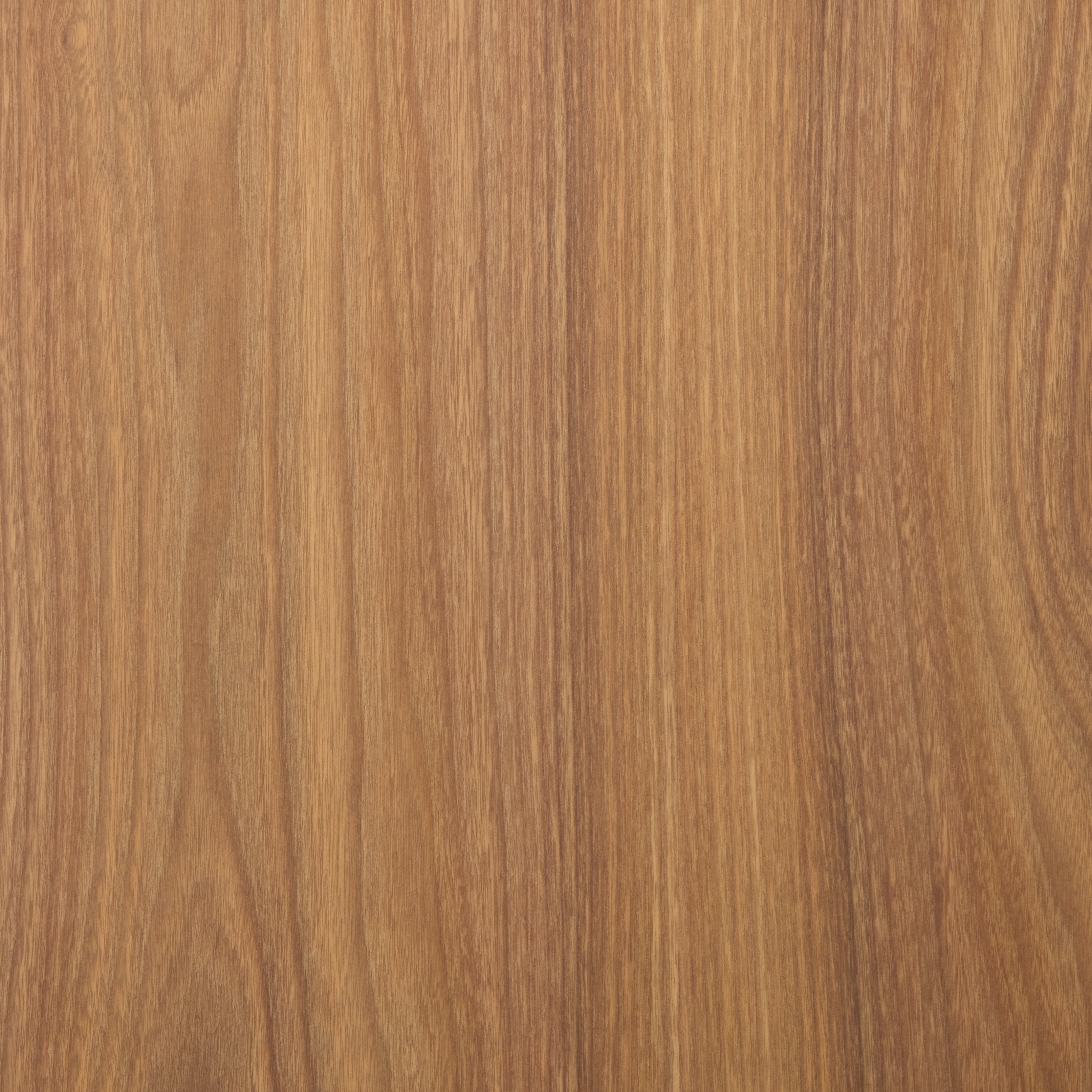Golden Elm