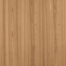 Amber Elm