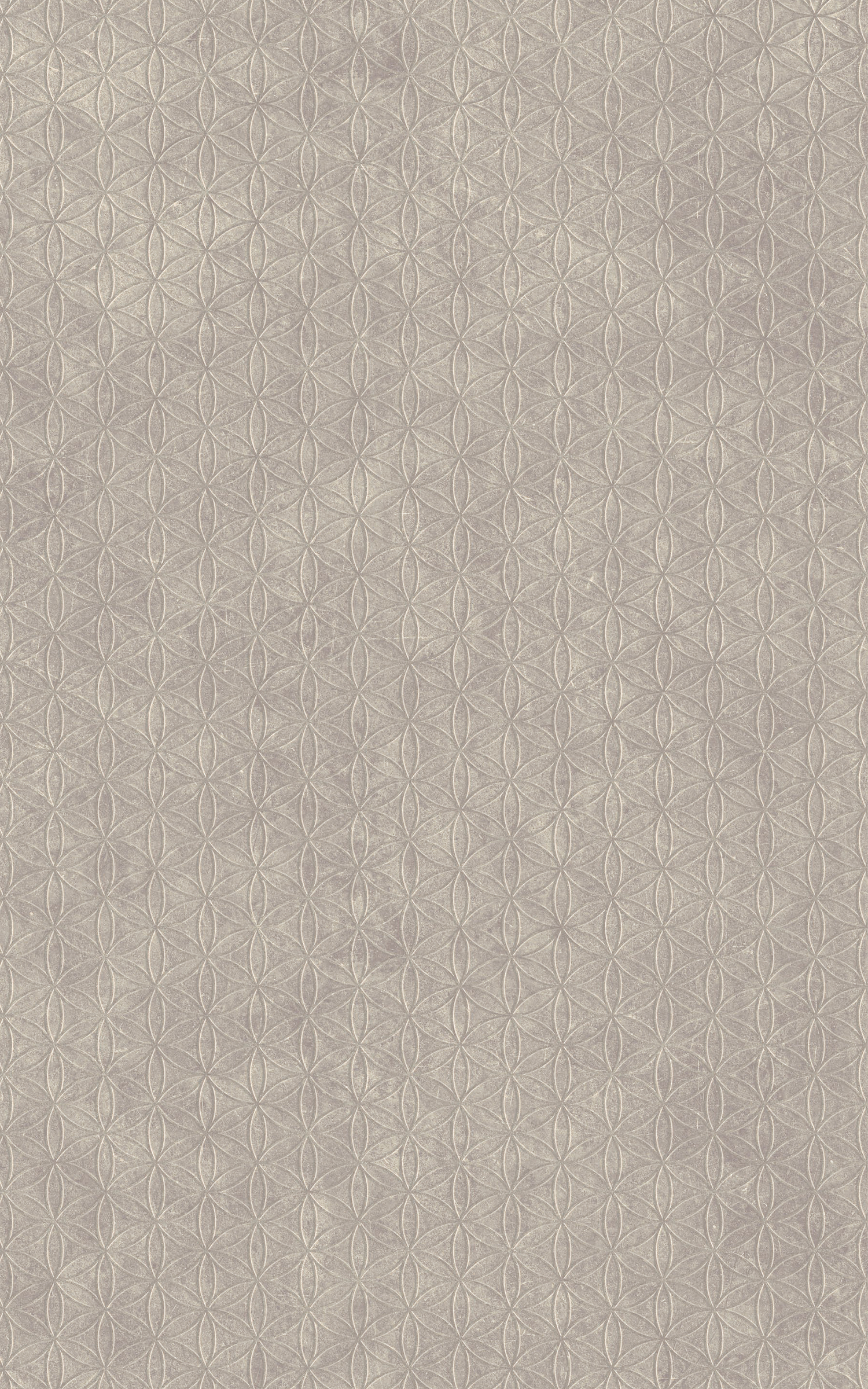 Stellate Blush
