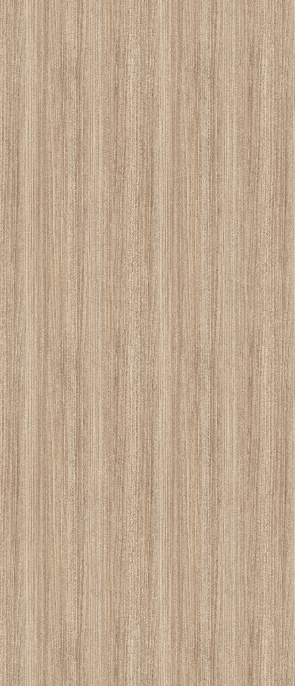 Eucalyptus Ruban&eacute;