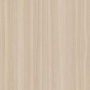 American Chestnut