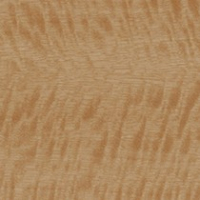 Golden Satinwood
