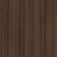Mocha Sycamore