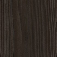 European Larch
