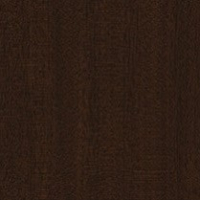African Sapele