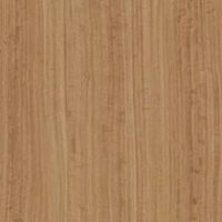 Amber Eucalyptus