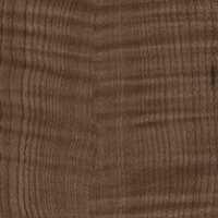 Plantation Sycamore