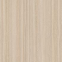 American Chestnut