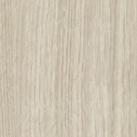 Parchment Oak