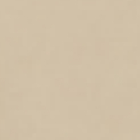 Comet