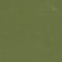 Moss