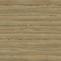 Cypress Cinnamon