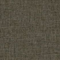 Fossil Cambric