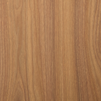 Golden Elm