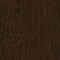 American Elm