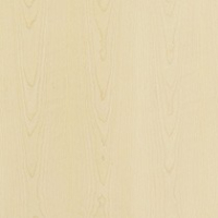 Blond Sycamore