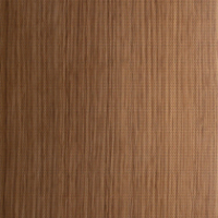 Acoustic Golden Oak