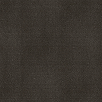 Dream Weaver Grey