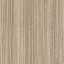 Eucalyptus Ruban&eacute;