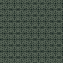 FIREWORKS Vert
