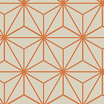 FIREWORKS Orange