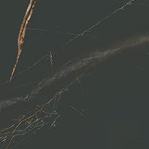 Marbre Alchimique