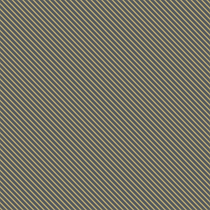 MARIN  Gris