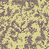 ORGANIC Violet