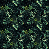 Palm Vert