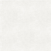 Papyrus Pulp