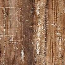 Barn Door