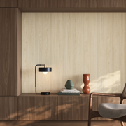 Cozy Mid-Century Niche Built-In