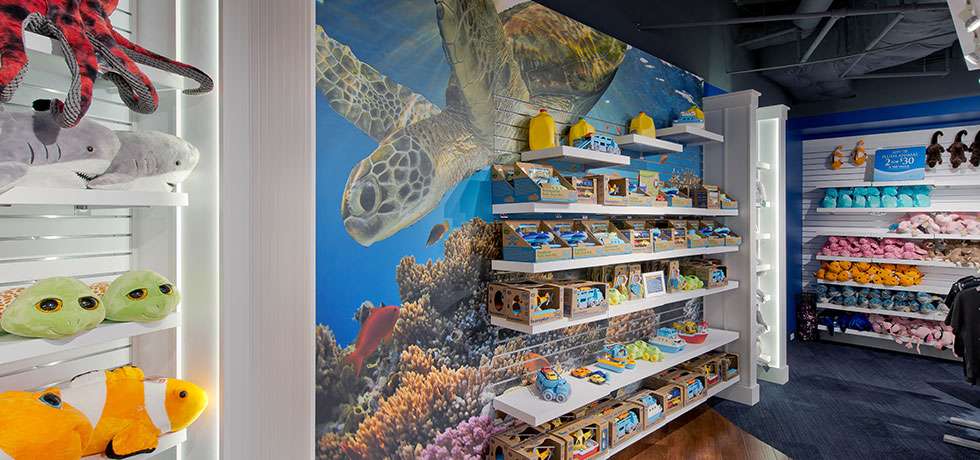 Corpus Aquarium Gift Shop | WilsonartXYou