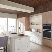 Engineered Surfaces Quartz and Laminate Kitchen