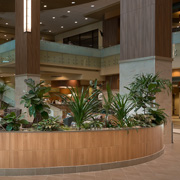 NEA Baptist Memorial Hospital Walls