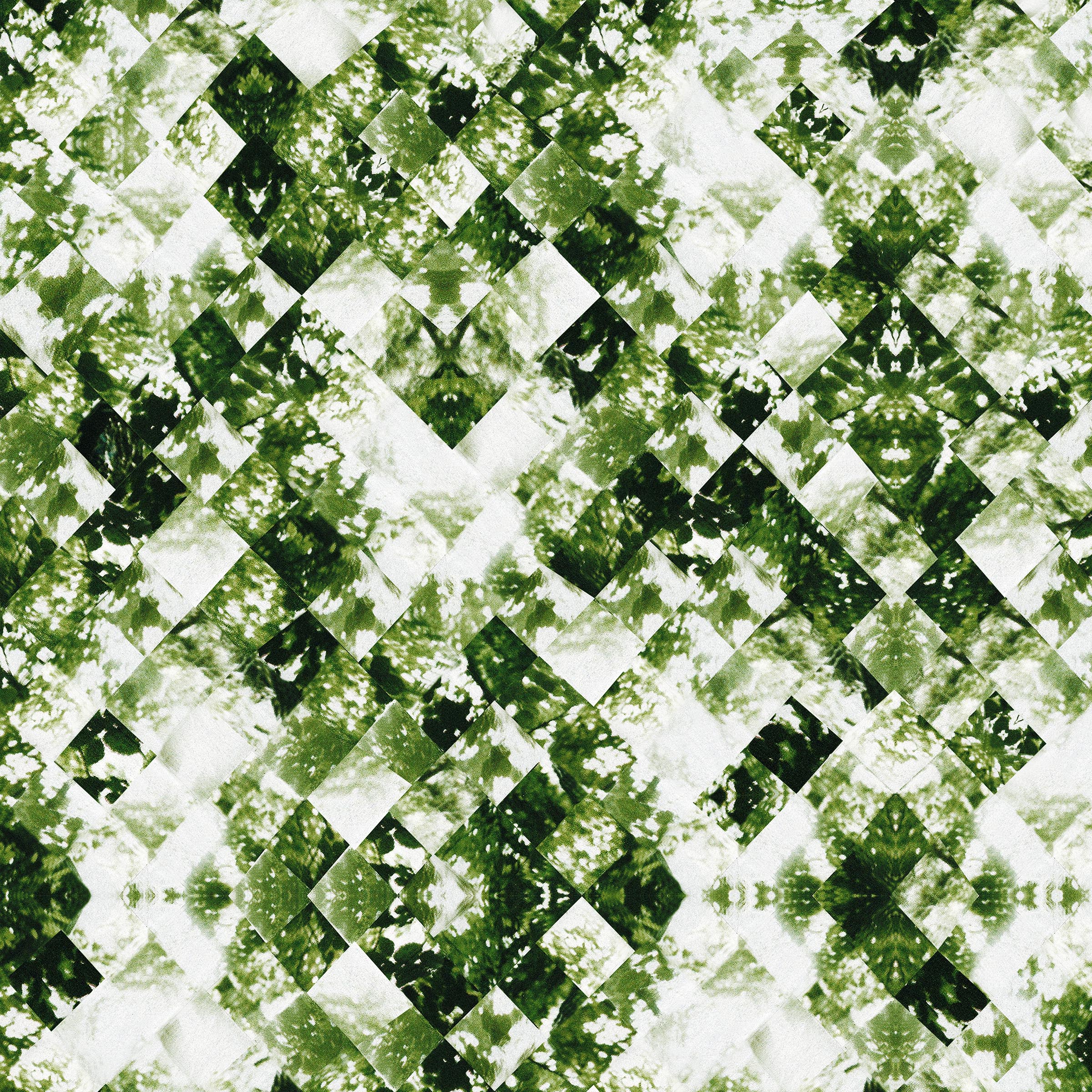 Canopy